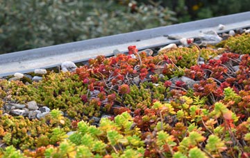the cost of Wortwell green roof installation
