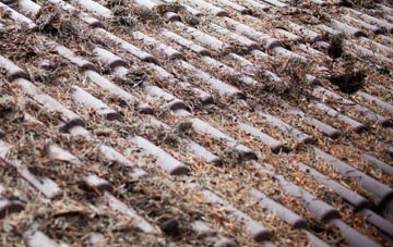 Wortwell roof cleaning companies