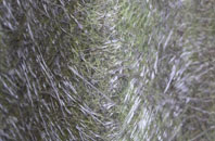 Wortwell fibreglass roof work